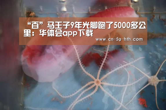“百”马王子9年光脚跑了5000多公里:华体会app下载(图3) 华体会app官方下载