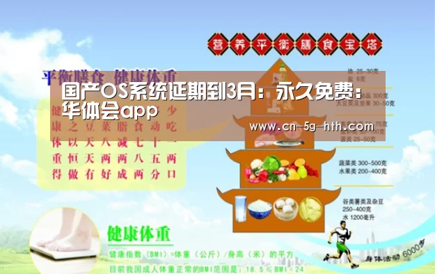 国产OS系统延期到3月:永久免费:华体会app(图1) 华体会体育下载